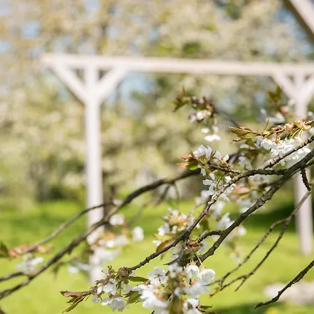 Przylesie Apartmán Polanica-Zdrój