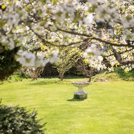 Apartmán Przylesie Polanica-Zdrój