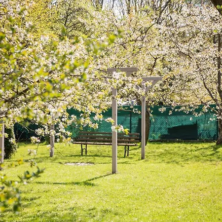 Przylesie Polanica-Zdrój