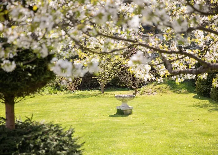 Lejlighed Przylesie Polanica-Zdrój